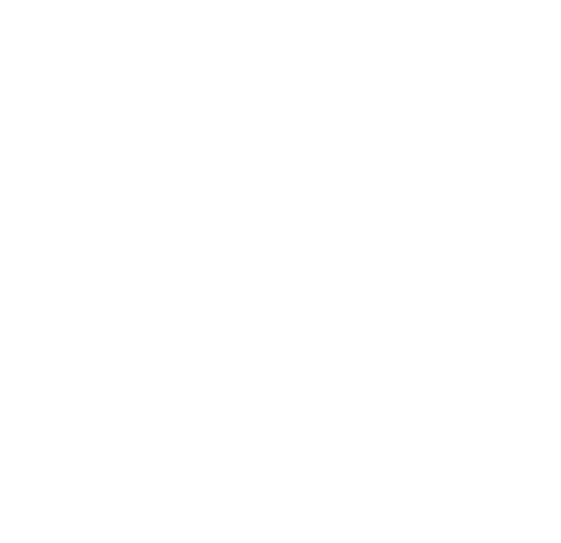 zenithweb-eg8.pages.dev favicon